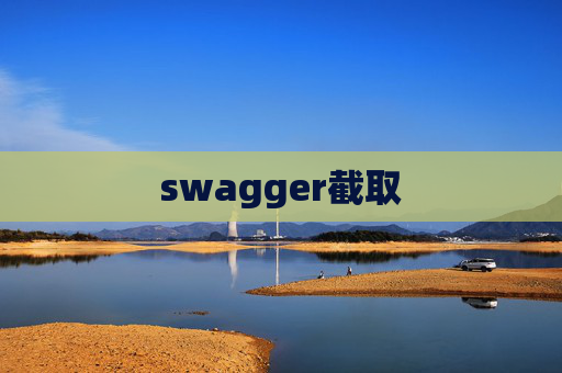 swagger截取